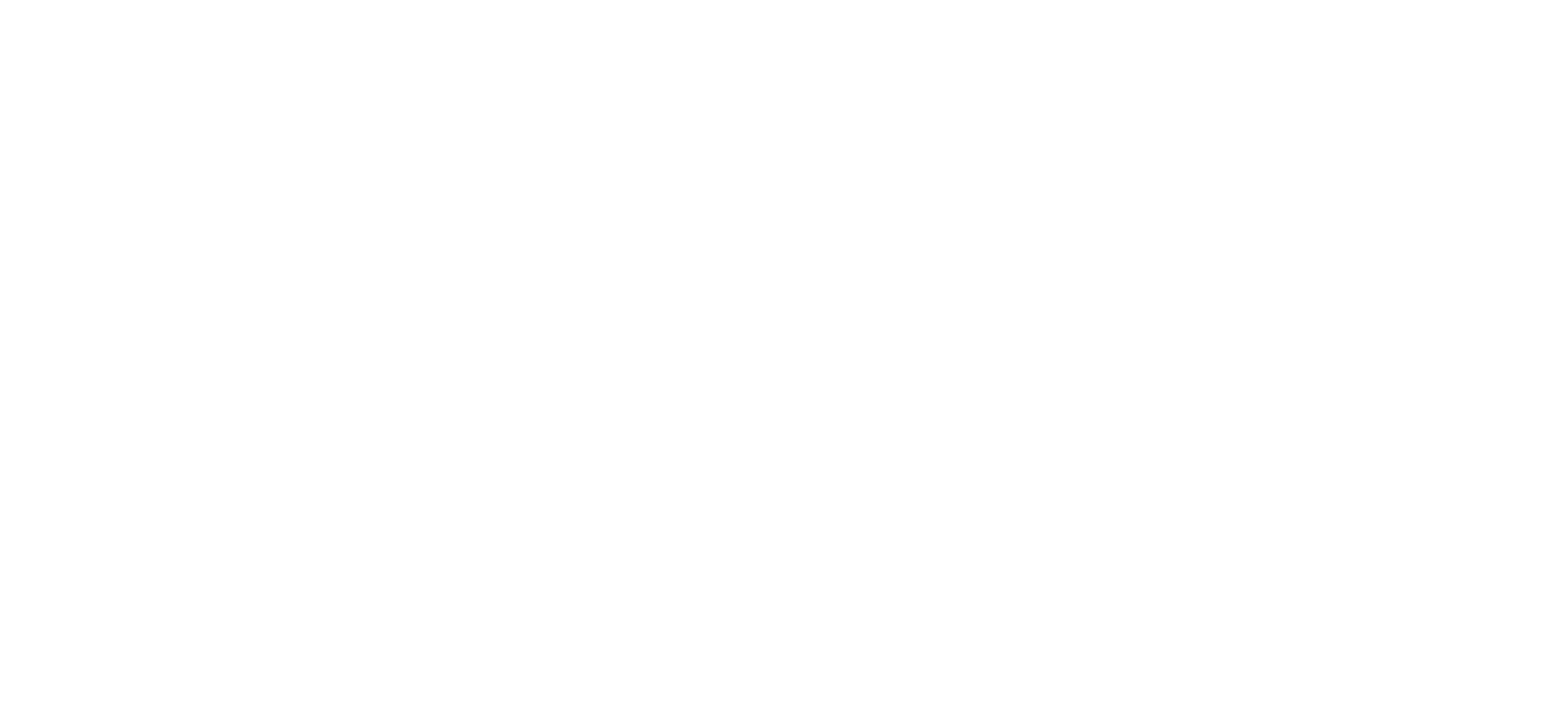 investitore principale